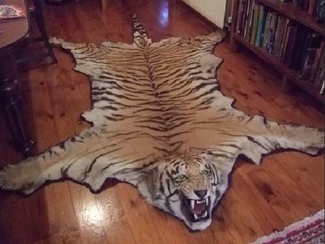 Don't be afraid to use animal skin. gorgeous lion rug. Animal Skin Carpet, Animal Skin Rug, Taxidermy Decor, Tiger Rug, Skin Rugs, Tiger Skin, Animal Rug, Animal Hide, Cheap Rugs