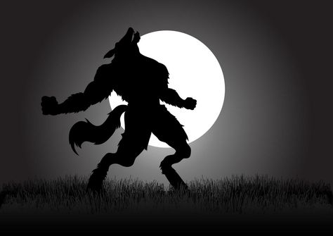 Werewolf Howling, Howling Werewolf, Werewolf Vs Vampire, Werewolf Illustration, Cartoon Wolf, Moon Silhouette, Spirit Animal Art, Night Background, Moon Illustration