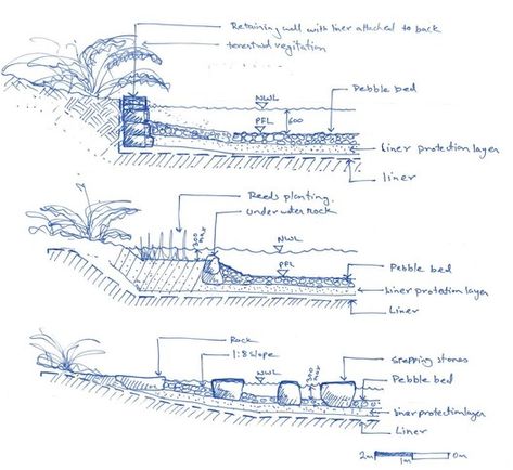 Turf Design, Sydney Park, Section Drawing, Landscape Architecture Drawing, Landscape Construction, Landscape Architecture Design, Construction Drawings, Commercial Architecture, Landscape Drawings