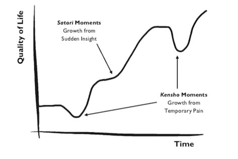 Kensho Vs. Satori: The Difference Between Growing Through Pain And Growing Through Insight Satori Quotes, Spiritual Thoughts, Life Challenges, Meditation Practices, New Growth, Learn To Love, Self Discovery, Personal Growth, Psychology