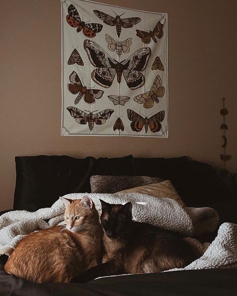 Earthbound Trading Company Aesthetic, Moth Bedroom, Company Aesthetic, Mini Tapestry, Earthbound Trading Company, Humble Abode, Aesthetic Bedroom, Trading Company, Bedroom Inspo