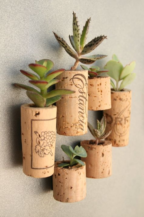 TOO COOL!!!! Cork Magnet, Cork Planters, نباتات منزلية, Wine Cork Crafts, Wine Corks, Cork Crafts, Succulent Plants, Small Office, Wine Cork