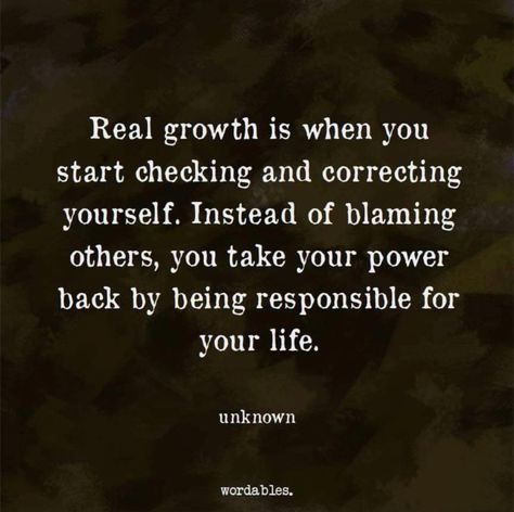 Blaming Others Quotes, Blame Quotes, Take Your Power Back, Being Responsible, Power Back, Blaming Others, The Ugly Truth, Hard Truth, After Life