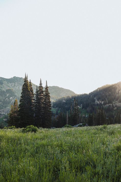 Alta Utah, Utah, Life Is Good, Road, Natural Landmarks, Photography, Travel