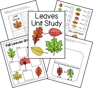 Leaves Unit Study and Lapbook from Homeschool Share Leaf Unit Study, Tree Themed Preschool Activities, Fall Leaves Unit Study, Leaf Unit Study Kindergarten, Leaves Unit Study, Giving Tree Activities, The Giving Tree Activities, Maple Sugaring Activities, Tree Unit Study