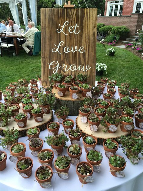 Potted Succulent Favors Succulent Guest Favors, Succulent Party Theme Centerpieces, Wedding Favor Succulent, Mini Succulents Favors, Succulent Gift Ideas Wedding Favors, Plant Pot Wedding Favour, Mini Succulent Wedding Favors, Wedding Plant Favors, Succulent Engagement Party