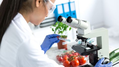 How to Become a Food Scientist | Career Girls - Explore Careers Food Engineering, Food Technologist, Food Tech, Food Technology, Food Scientist, Government Shutdown, Food Additives, Food Science, Food Quotes