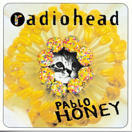 Classic Album Covers Reimagined With Kittens from NPR's All Songs Considered Cat Album Covers, Radiohead Pablo Honey, Radiohead Albums, Creep Radiohead, Pablo Honey, Barry Lyndon, Cybill Shepherd, Classic Album Covers, Ukulele Tabs