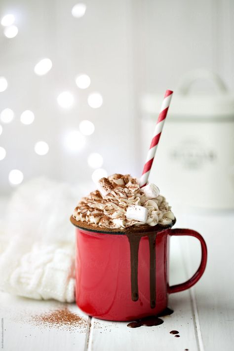 Hot chocolate with whipped cream and marshmallows by Ruth Black for Stocksy United Hot Chocolate Drink, Chocolate Drink, Chocolate Caliente, Christmas Photography, Spiced Rum, Chocolate Syrup, Mini Marshmallows, Christmas Aesthetic, Coconut Cream