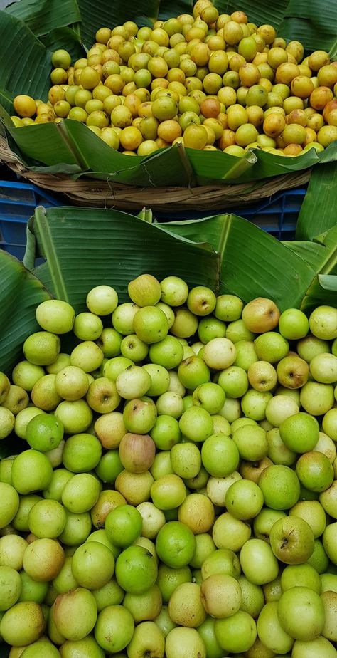 Jujube (Boroi) fruits in a street market. Jujube Fruit, Fruit Platter Designs, Light Background Images, Street Market, Fruit Platter, Fruit In Season, Light Background, Fruit And Veg, Background Images