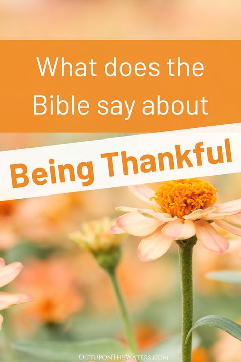 Learn more about what the Bible says about being thankful and giving thanks in all circumstances.  Includes stories of people who were grateful in the Bible.  #biblestudy #gratitudeintheBible #thankfulness Bible Study On Thankfulness, Thanksgiving Bible Study For Women, Thanksgiving Devotions For Women, Thankfulness Scripture, Thanksgiving Devotions, Short Devotions, Praying For Your Family, Sabbath School, Being Thankful