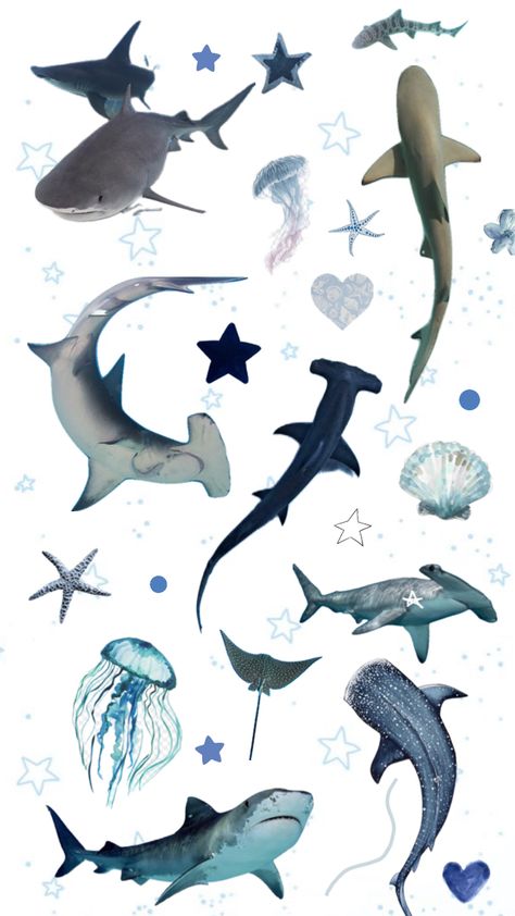 Shark Background, Shark Pictures, Sea Shepherd, Manta Rays, Ocean World, Shark Art, Cute Shark, Animal Antics, Ocean Wallpaper