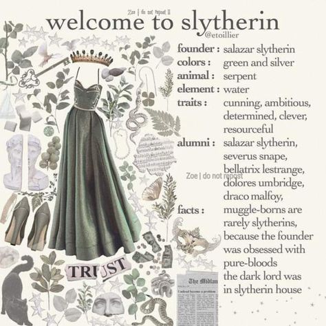 Harry Potter Poster, Slytherin Pride, Slytherin Harry Potter, Images Harry Potter, Slytherin House, Bellatrix Lestrange, Hogwarts Aesthetic, Harry Potter Houses, Slytherin Aesthetic