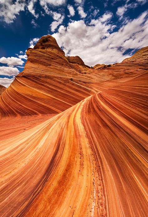 Swirling Sandstone - The Wave, Coyote Buttes North, Arizona (by Jim Patterson Photography) The Wave Arizona, High Desert Landscaping, Coyote Buttes, Landscape Ideas, Desert Landscaping, Scenic Landscape, The Wave, Architectural Digest, Beautiful Photography