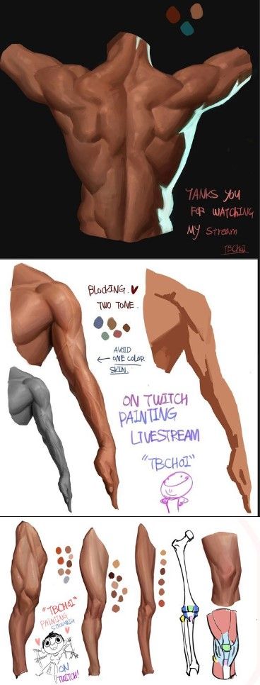 How To Color Muscles Digital, Hand Holding Crown Reference, Male Waist Drawing, Muscle Coloring Tutorial, Leather Art Reference, Male Body Back Reference, How To Color Abs Digital, Male Body Shading, Back Drawing Reference Anatomy