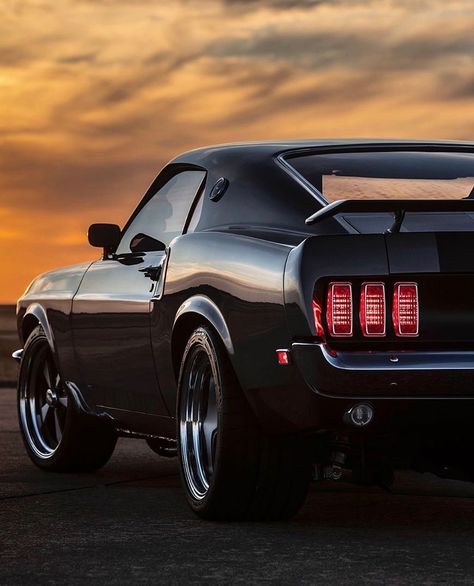 1969 Mustang Fastback, Mustang Car Aesthetic, Ford Mustang 1969, 2024 Ford Mustang, 60s Muscle Cars, Tokyo Drift Cars, Mustang Wallpaper, Mustang Car, Sports Car Wallpaper