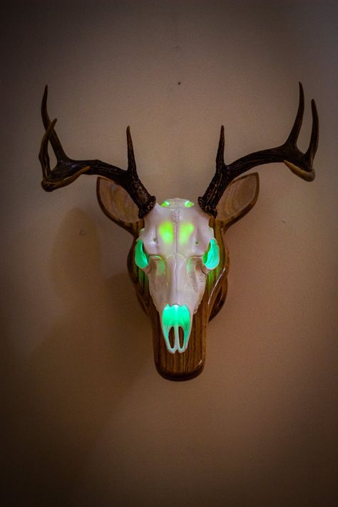 Deer Skull Mount Ideas, Deer Horn Decor, Deer Horn Ideas, Deer Skull Wall Mount, Skull Mount Ideas, Hunting Mounts, Deer Shot, Euro Mount, Horn Decor