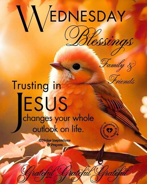 Winning Wednesday Quotes, Wednesdays Blessings, Blessed Wednesday Good Morning, Wednesday Blessings Scriptures, Bless Wednesday, Have A Blessed Wednesday, Good Morning Saturday Wishes, Jesus 2024, Wednesday Morning Greetings