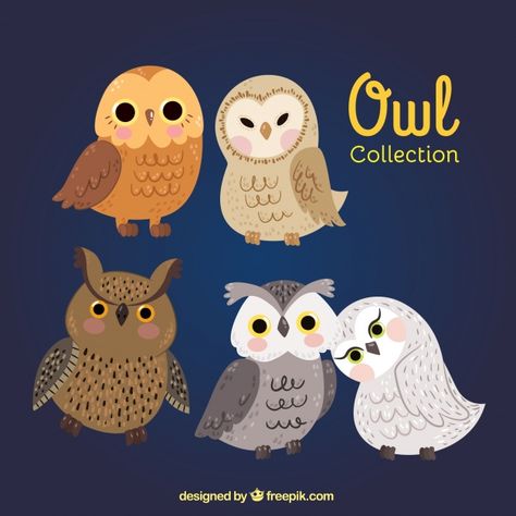 Owl Cute Drawing, Owl Character, Cute Owl Cartoon, Animal Couple, Owl Quilts, Owl Bags, Owl Vector, Felt Owls, Owl Illustration