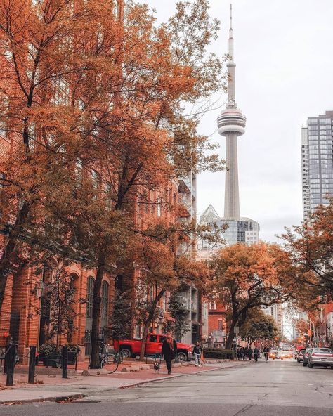 Love Toronto 💙 on Instagram: “Can't get enough of beautiful fall days like this. 👌🍁💛 Photo by @arjsun.” Canadian Aesthetic, Toronto Apartment, Canada Cruise, Canada City, Canada Photography, Toronto City, Toronto Restaurants, Kid Friendly Travel Destinations, Downtown Toronto