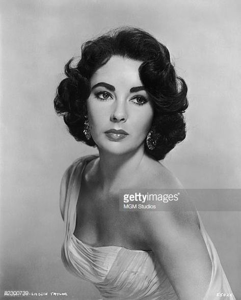 Elizabeth Taylor Pictures and Photos - Getty Images Old Hollywood Beauty, Edward Wilding, Korean Beauty Secrets, Hollywood Beauty, Old Hollywood Actresses, Liz Taylor, Eye Creams, Baby Hairs, Actrices Hollywood