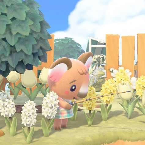 Alice Animal Crossing, Animal Crossing Melba, Melba Acnh, Melba Animal Crossing, Animal Crossing Avatar, Animal Crossing Pfp, Acnh Villagers, Cozy Games, Animal Crossing Characters