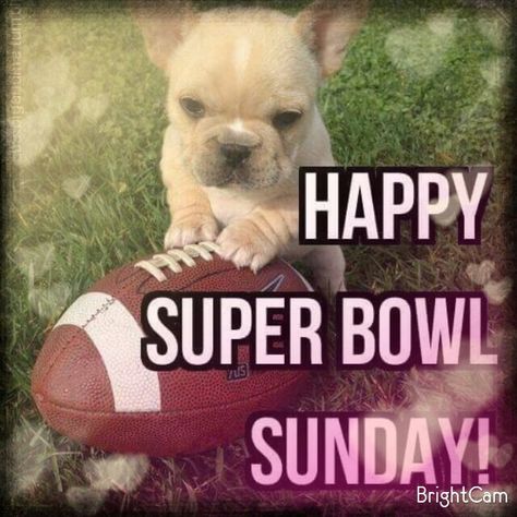 Super Bowl Sunday Quotes Funny, Super Bowl Sunday Quotes, Superbowl Quotes, February Greetings, Super Bowl Sunday Outfit, Super Bowl Funny, Super Bowl Pictures, Superbowl Humor, Happy Super Bowl Sunday