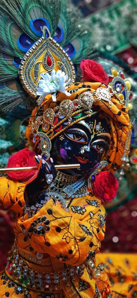 Morepankh Hd Wallpaper, Laddu Gopal Pics Hd, Laddu Gopal Wallpaper Hd, Krishna Dp For Instagram, Krishna Pics For Dp, Laddu Gopal Pics, Krishna Images Hd Wallpaper, Kanha Ji Images, Krishna Wallpapers Hd Wallpaper