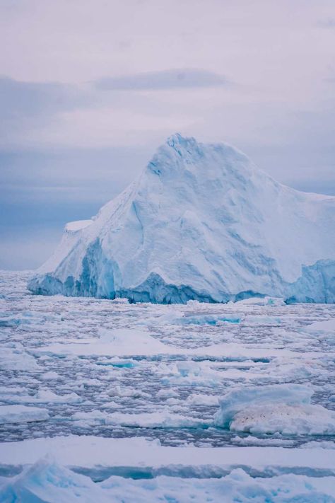 Arriving In Antarctica And The Antarctic Circle Antarctic Aesthetic, Aesthetic Antarctica, Antartica Aesthetic, Antarctica Aesthetic, Alphabet Aesthetic, Antarctica Photography, Antarctica Travel, Arctic Fox, Arctic Circle