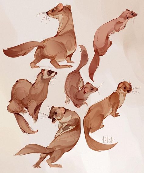 Loish Tumblr Illustration, Animal Sketches, Character Sketch, Illustration Character Design, Illustration Artists, Pics Art, Creature Design, Artist Painting, Creature Art