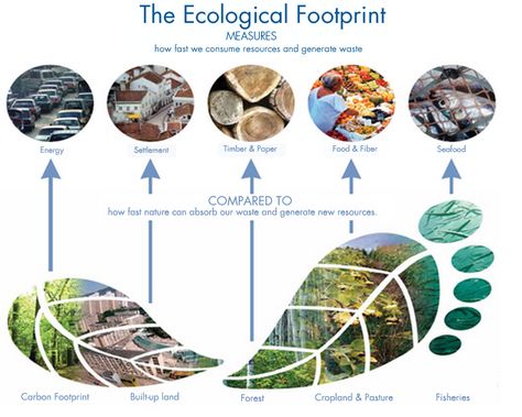 The Ecological Footprint is the only metric that measures how much nature we have and how much nature we use. Earth Overshoot Day, Non Renewable Energy, Ecological Footprint, Natural Resources, Carbon Footprint, Green Design, Plant Based Recipes, Ecology, Calculator