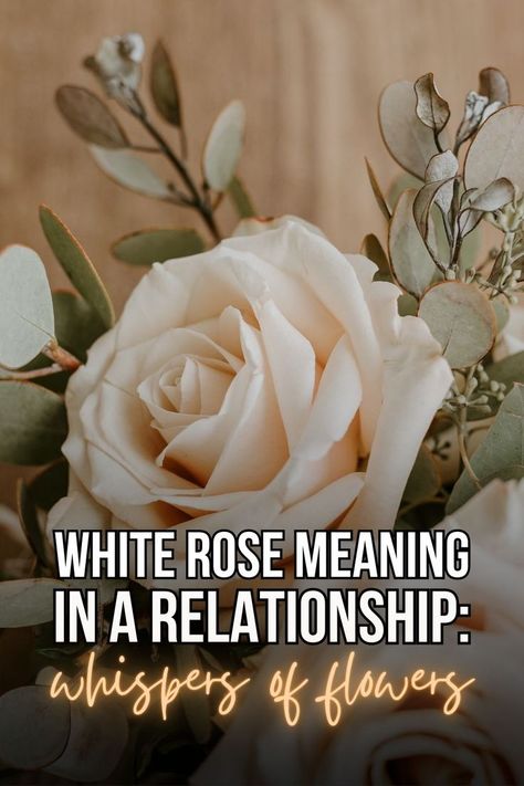 White rose meaning in a relationship: these flowers carry a lot of symbolism. Here’s the secret language of roses behind their colors. Women And Flowers, First Heartbreak, Make Money With Pinterest, After A Divorce, Rose Meaning, Money With Pinterest, Roses Purple, Roses Yellow, Journey Of Growth