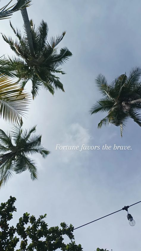 Fortune Favors The Brave, Brave Wallpaper, Motivation Wallpaper, Courage Quotes, The Brave, Let Go, What If, Brave, Letting Go