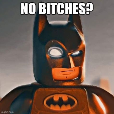 The Lego Batman Movie, Batman Pictures, Lego Batman Movie, I Am Batman, Batman Funny, Im Batman, Goofy Pictures, Dc Memes, Batman Movie