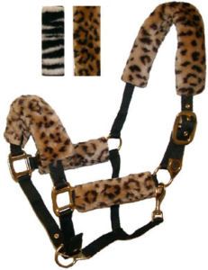 Dressage Tack, Halter Horse, Horse Halters, English Saddles, Horse Halter, Saddle Horse, Western Saddles, Rodeo Horses, Lead Rope