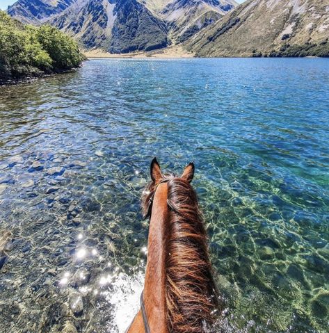 Trail Riding Horses, On Horseback, Horse Life, Trail Riding, The Horse, Your Beautiful, Beautiful Horses, Slow Down, Horse Riding