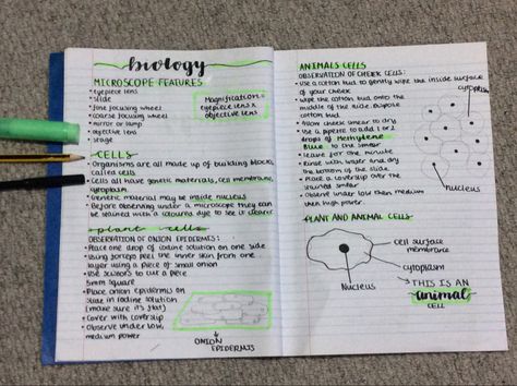 This is to help people know how to create posters and to organise studying Hope this helps! go follow me and I’ll do more! Study Notes Lined Paper, Aesthetic Notes On Lined Paper, Notes Aesthetic Lined Paper, School Notes Aesthetic Biology, Notetaking Aesthetic On Paper, Grade 11 Bio Notes, Pretty Notes Aesthetic Biology, Note Taking Biology, Writing Titles