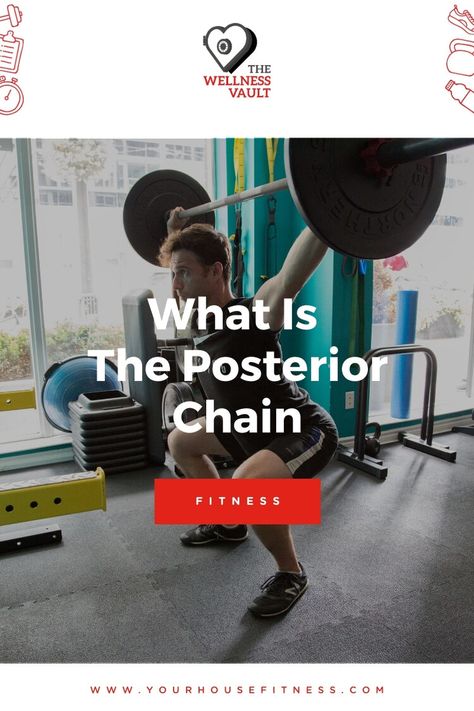 Posterior Chain Workout, Posterior Chain Exercises, Muscles In The Back, Deadlift Variations, Pt Exercises, Gym Program, Posterior Chain, Training For Runners, Hamstring Muscles