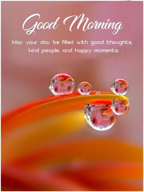 'May your day be filled with good thoughts, kind people, and happy moments'.Good Morning Wishes Messages For Lover and quotes for your best boyfriend & girlfriend' from Good Morning Messages category,Send cute and funny good morning messages and wishes for lovers and family ,love messages photos, rose messages pictures, romantic messages wishes and download for free from Goodmorningland website.You can share these images via Facebook, Whatsapp, google+, Twitter, Instagram, Pinterest. Morning Wishes For Lover, Funny Good Morning Messages, Funny Good Morning, Cute Good Morning Images, Happy Birthday Wishes Images, Kind People, Good Morning My Love, Romantic Messages, Girlfriend Quotes