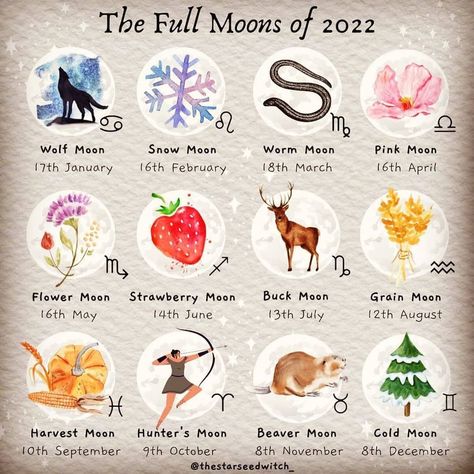 Full Moon Names, Moon Hunters, Full Moon Spells, Moon Date, Moon Names, Cold Moon, Moon Spells, Green Witchcraft, April Flowers