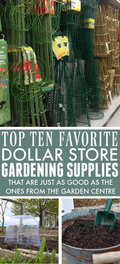 Easy Gardening Hacks, Garden Hacks Diy, Cheap Landscaping Ideas, Diy Garden Fence, Garden Netting, Eco Friendly Garden, Budget Garden, Garden Help, Garden Centre