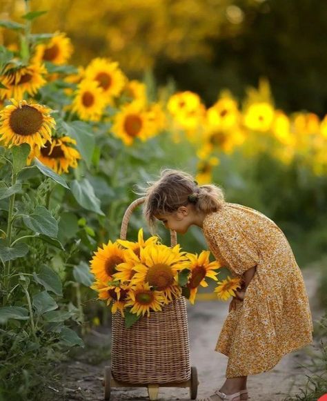 Sunflower Photoshoot, Sunflower Love, Sunflower Photo, Toddler Photos, Sunflower Fields, Fall Pictures, Baby Photoshoot, Kids Pictures, Pumpkin Patch