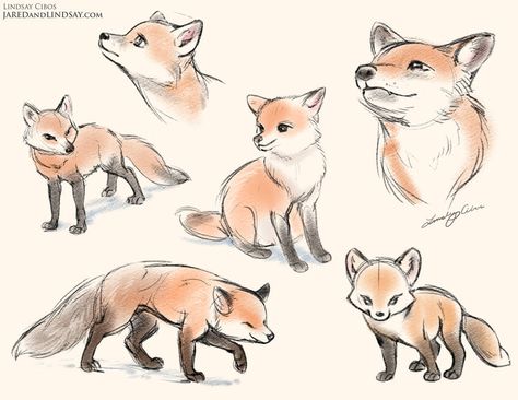 Fox Sketch, Fox Drawing, Animal Drawings Sketches, 강아지 그림, 캐릭터 드로잉, Fox Art, Animal Sketches, Arte Animal, 판타지 아트