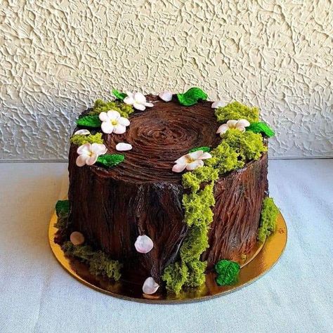 Woodsy Cake, Edible Moss, Nature Cake, Fairy Birthday Cake, Tiger Cake, Small Birthday Cakes, Cute Bakery, Cookie Cake Pie, Woodland Cake