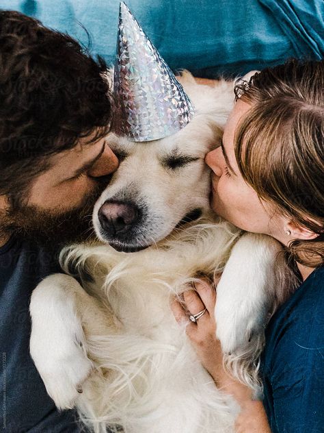 Dog Birthday Photoshoot, Dog Birthday Pictures, Golden Retriever Birthday, Dog Family Pictures, Dog First Birthday, Dog Foto, Dogs Birthday, Happy Birthday Dog, Dog Photoshoot