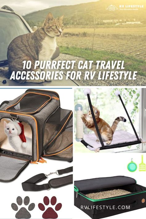 Rv Traveling With Cats, Rv Cat Enclosure, Cat Cpr, Rv Cat, Cat Travel Accessories, Car Cat, Camping With Cats, Cat Kennel, Cat Tent