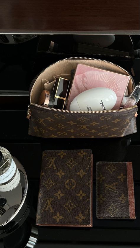 Louis vuitton key pouch