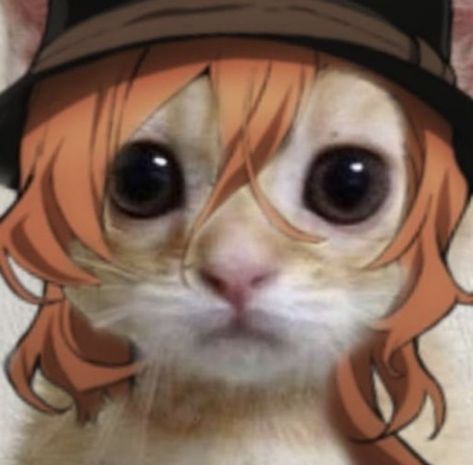 Bsd Pfp Chuuya, Chuuya Cute, Bungo Stray Dogs Pfp, Chuuya Nakahara Pfp, Chuuya Nakahara Icons, Bungou Stray Dogs Chuuya, Chuuya Pfp, Bsd Pfp, Dog Coughing