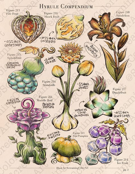 Botanical-style illustration of various items from Legend of Zelda: Tears of the Kingdom. Letter size or 11x17 print on matte photo paper. Actual print is unwatermarked. NOTE: This design is a companion piece to my first Hyrule Compendium page, which gets stolen and resold more than any of my other art. If you see it listed for sale anywhere else, including on clothing, please do not support the seller and kindly report the listing. Thank you! Compendium Design, Tears Of The Kingdom Art, The Legend Of Zelda Art, Legend Of Zelda Art, Legend Of Zelda Illustration, Hyrule Compendium, Legend Of Zelda Plants, Legend Of Zelda Tears Of The Kingdom, Zelda Tears Of The Kingdom