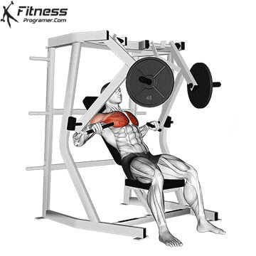 Workout Plan Builder Chest Machine, Chest Machine Workout, Machine Chest Workout, Chest Press Machine, Chest Workout Machine, Chest Exercises, Back Workout Machine, Gym Machine Tutorial, Incline Chest Press Machine